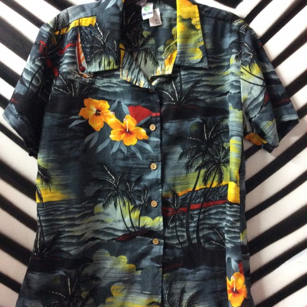 product details: Stormy Island Print design Hawaiian Shirt photo