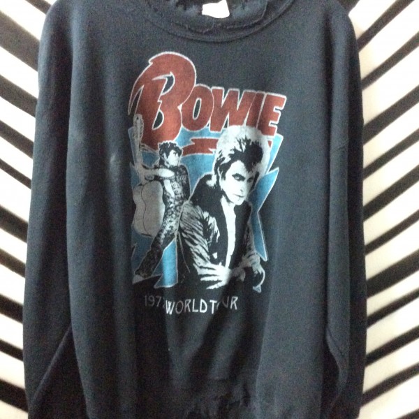 product details: David Bowie Sweatshirt photo