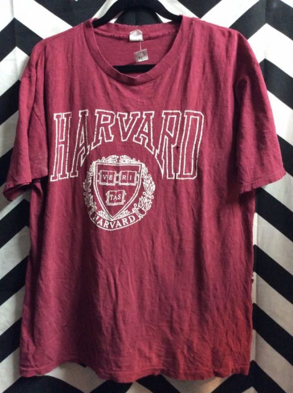 white harvard t shirt