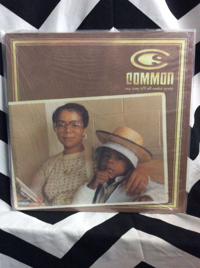 Vinyl Record Common – One Day It'll All Make Sense | Boardwalk Vintage