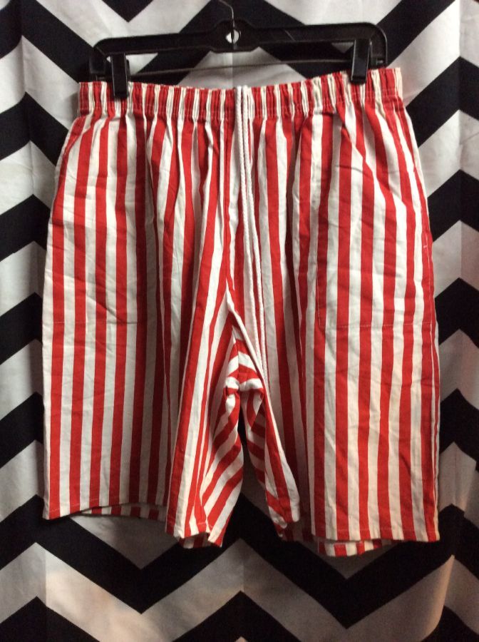 Vintage Swim Trunks Vertical Striped Shorts | Boardwalk Vintage