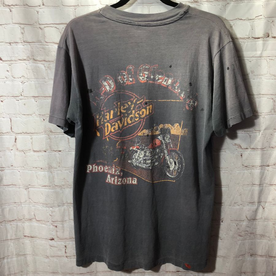 Super Rad Vintage Harley Davidson T-shirt The Great Southwest ...