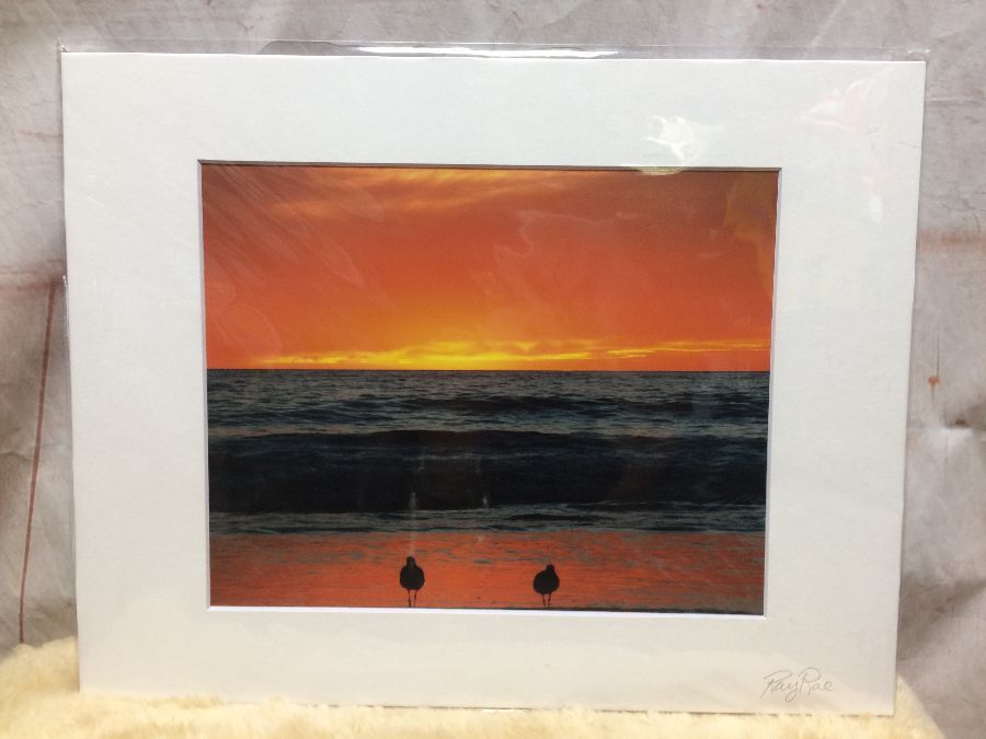 product details: SEAGULL SUNSET SCENE  MOUNTED PHOTOGRAPH photo