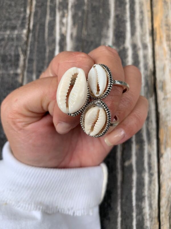 product details: SEA SHELL RINGS photo