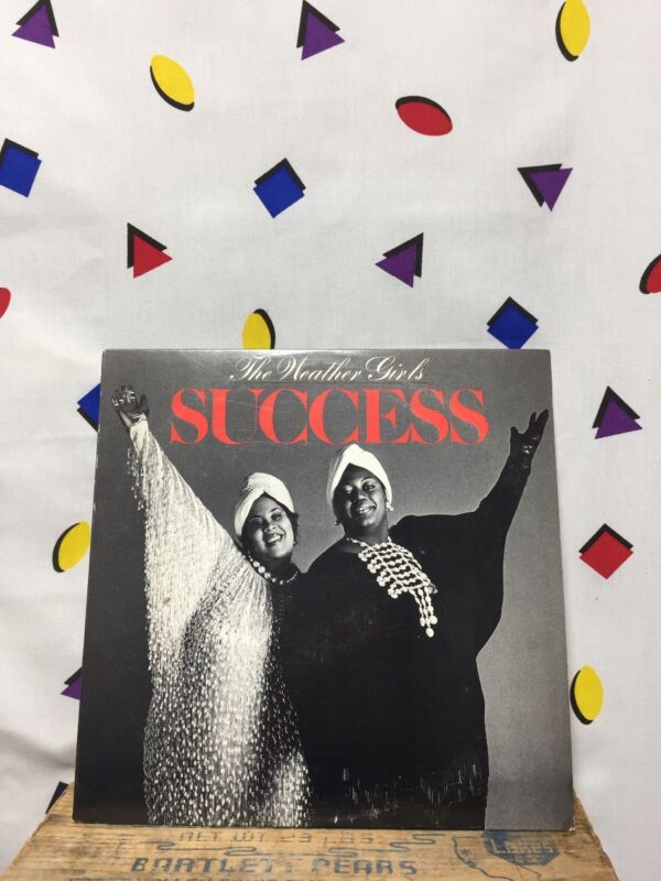 product details: THE WEATHER GIRLS – SUCCESS  ELECTRONIC, FUNK / SOUL DISCO VINYL LP ALBUM photo
