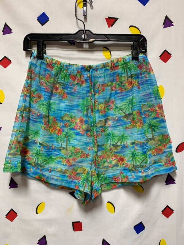 Sheer Mesh Shorts Tropical Print Beachwear Front Tie | Boardwalk Vintage