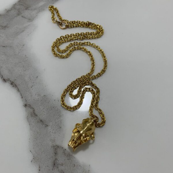 product details: GOLD PLATED SOLID BRASS SABERTOOTH TIGER SKULL PENDANT WITH RAW BRASS LINK CHAIN photo