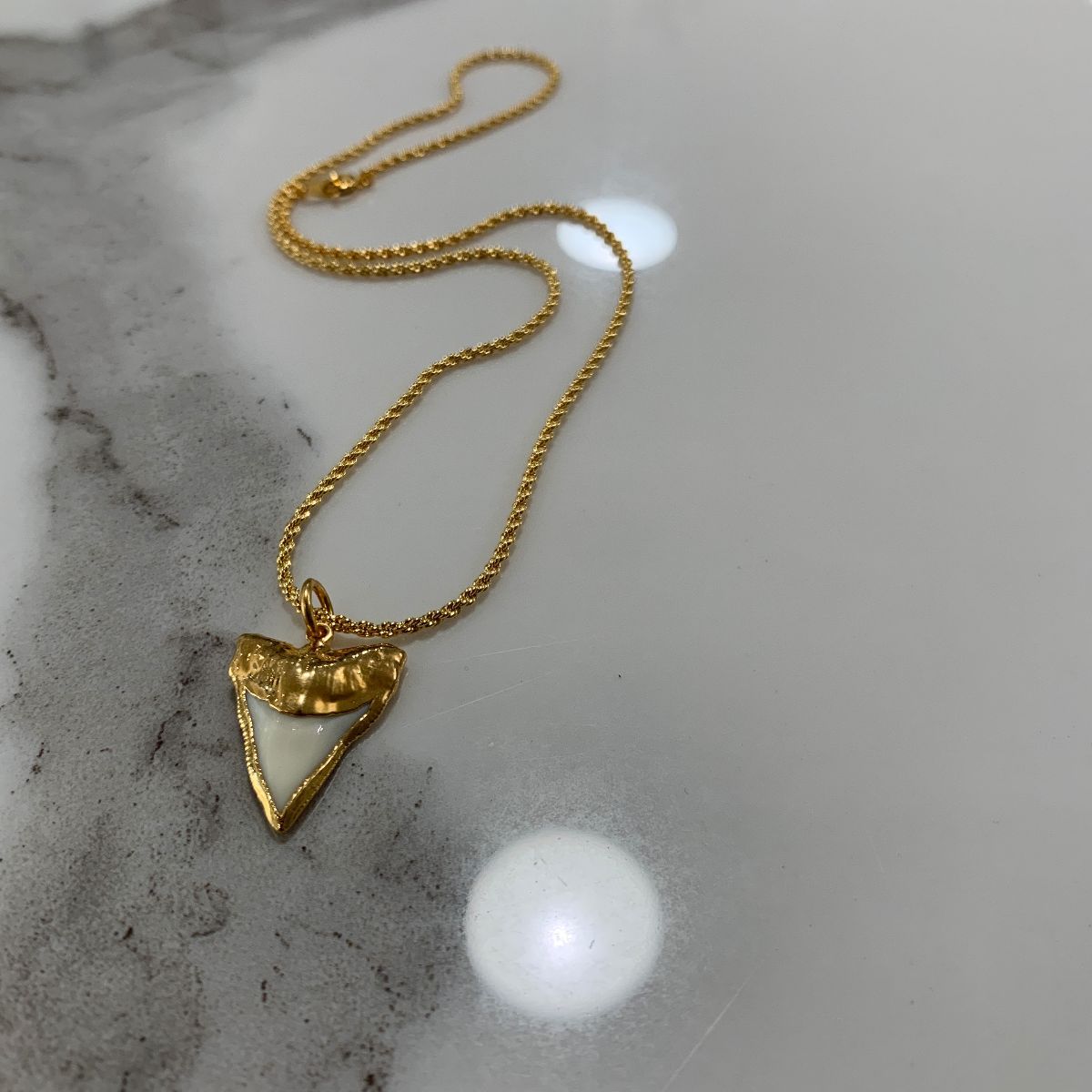 Gold Dipped Natural Shark Tooth Necklace With Gold Plated Twisted Rope ...