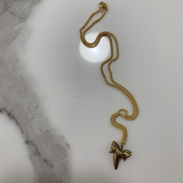 product details: SOLID BRASS SHARK TOOTH NECKLACE WITH GOLD PLATED CHAIN photo