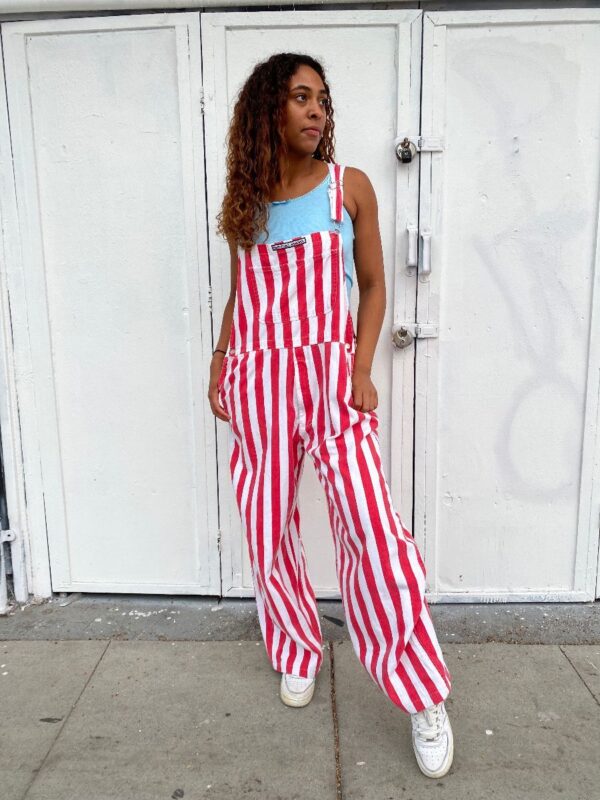 product details: VERTICAL PINSTRIPE DENIM OVERALLS photo