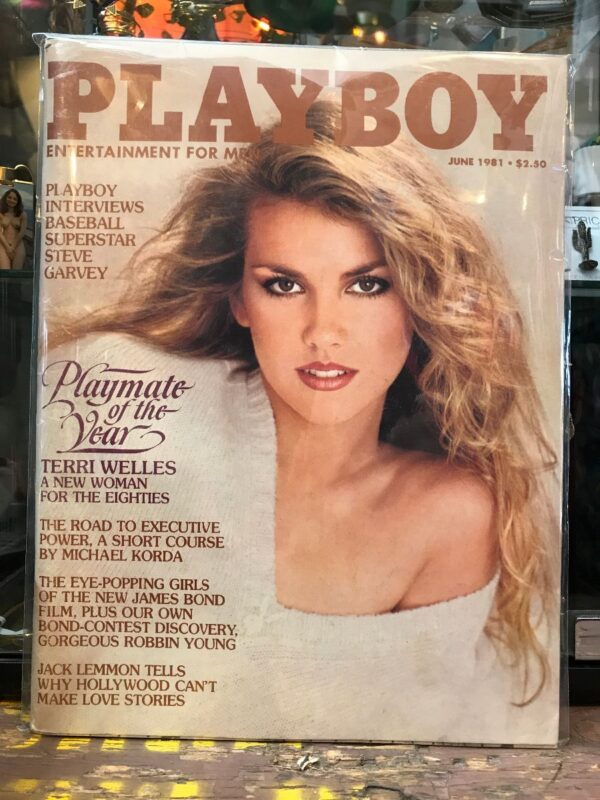 product details: PLAYBOY MAGAZINE – JUNE 1981 TERRI WELLES PLAYMATE OF THE YEAR | STEVE GARVEY | JACK LEMMON | MICHAEL KORDA photo