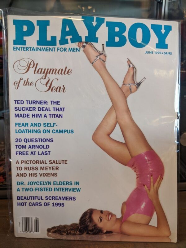 product details: PLAYBOY MAGAZINE - JUNE 1995 - PLAYMATE OF THE YEAR photo