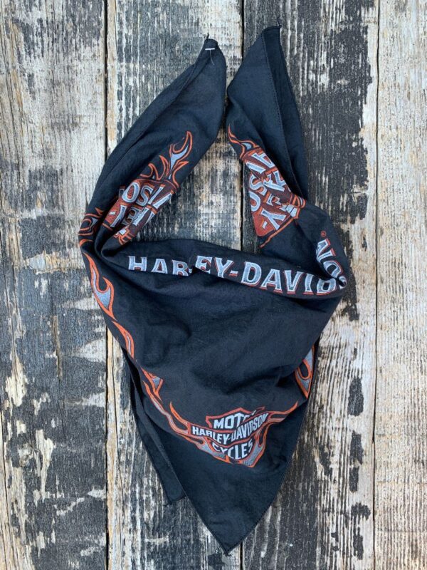 product details: CLASSIC COTTON 2001 HARLEY DAVIDSON TEXT WITH FLAMES BANDANA photo