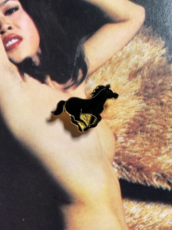 product details: GALLOPING BLACK BEAUTY HORSE ENAMEL PIN photo