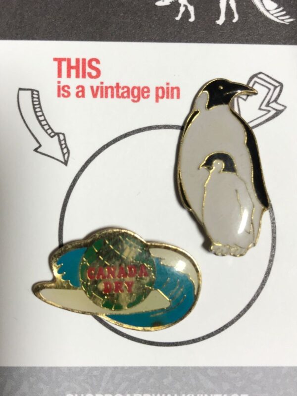 product details: CANADA DRY PIN photo