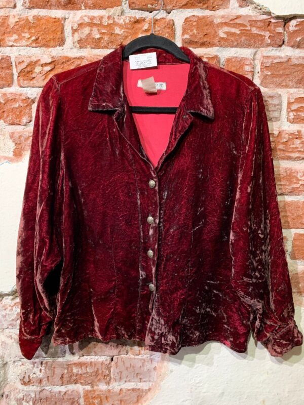 product details: CRUSHED VELVET BUTTON DOWN COLLARED LONG SLEEVE BLOUSE photo