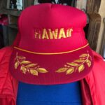 DISTRESSED HAWAII ORNAMENTAL LEAF TRUCKER HAT – AS IS