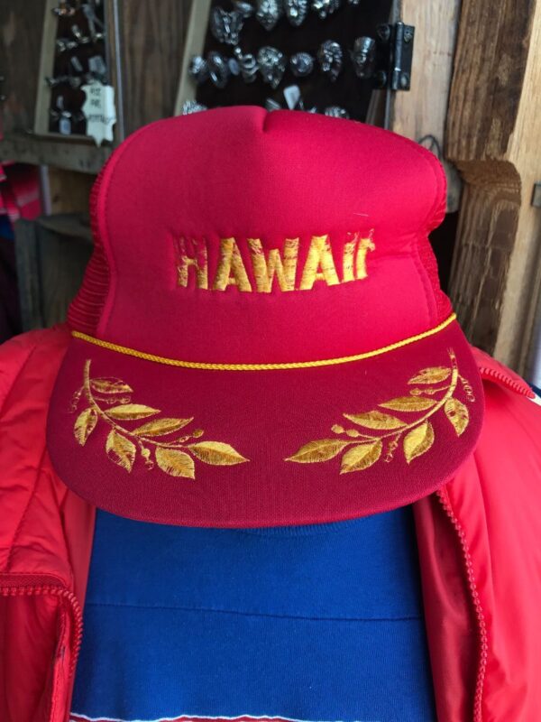 product details: DISTRESSED HAWAII ORNAMENTAL LEAF TRUCKER HAT - AS IS photo