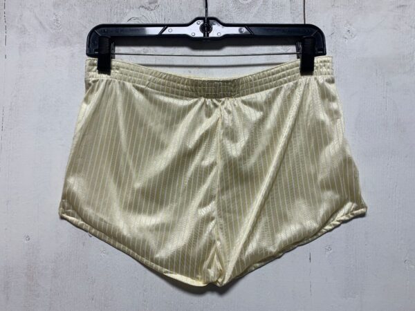 product details: EARLY 80S DEADSTOCK SILKY PINSTRIPE ATHLETIC DOLPHIN SHORTS photo