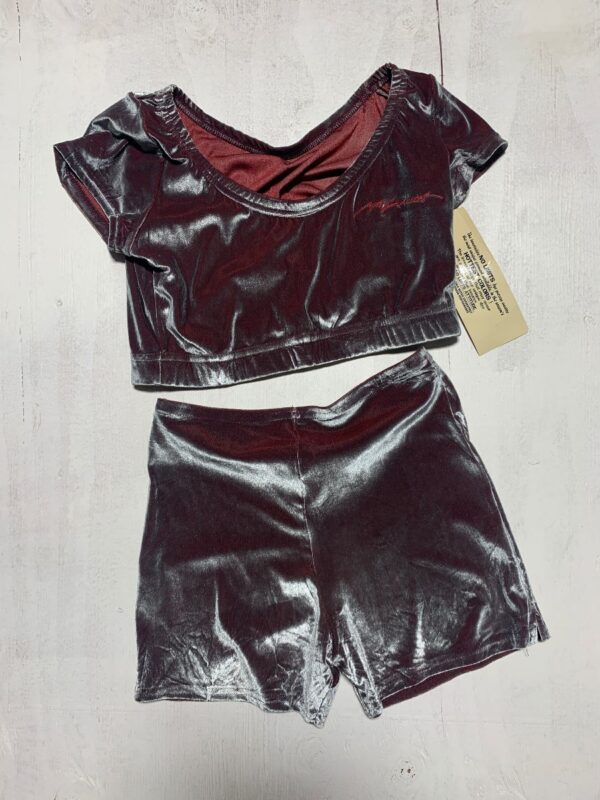 product details: DEADSTOCK 2PC VELOUR CROPPED BABYDOLL TOP AND BIKE SHORTS SET photo