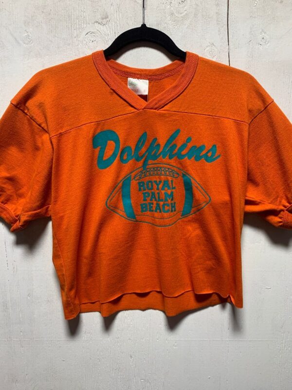 product details: DOLPHINS FOOTBALL GRAPHIC T-SHIRT ROYAL PALM BEACH V-NECK JERSEY #17 photo
