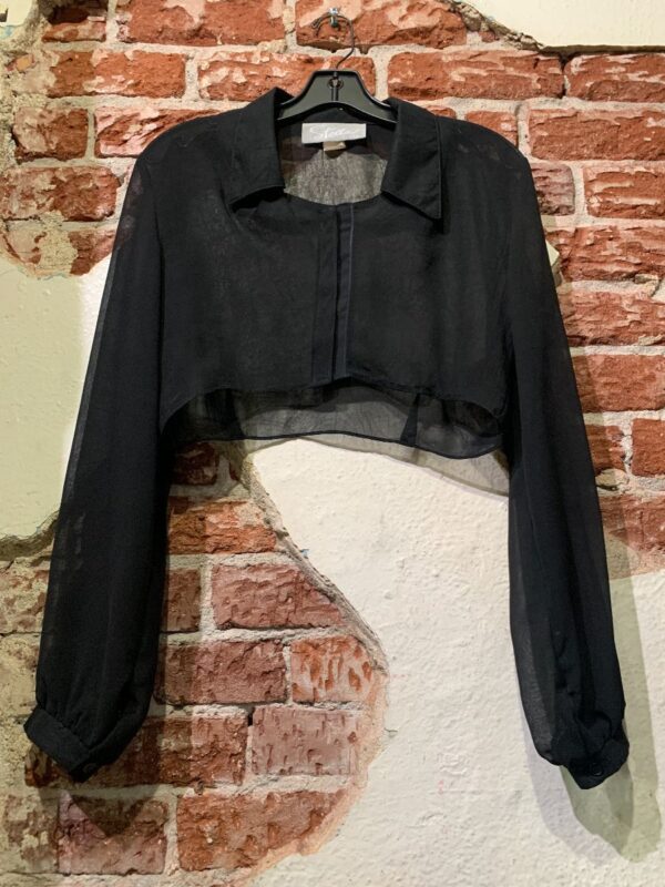 product details: SUPER CUTE SHEER LONG SLEEVE COLLARED CROP TOP WITH VELCRO CLOSURE photo