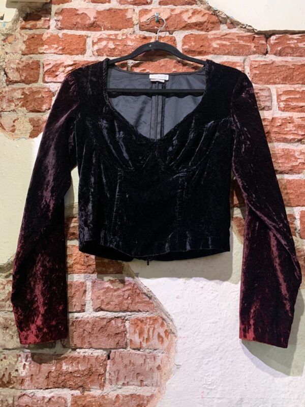 product details: AS-IS LONG SLEEVE CRUSHED VELVET BUSTIER CROP TOP photo