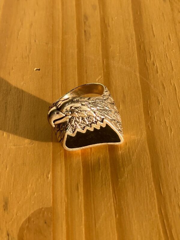 product details: LARGE ENAMEL EAGLE HEAD FEATHER WRAPPED RING photo