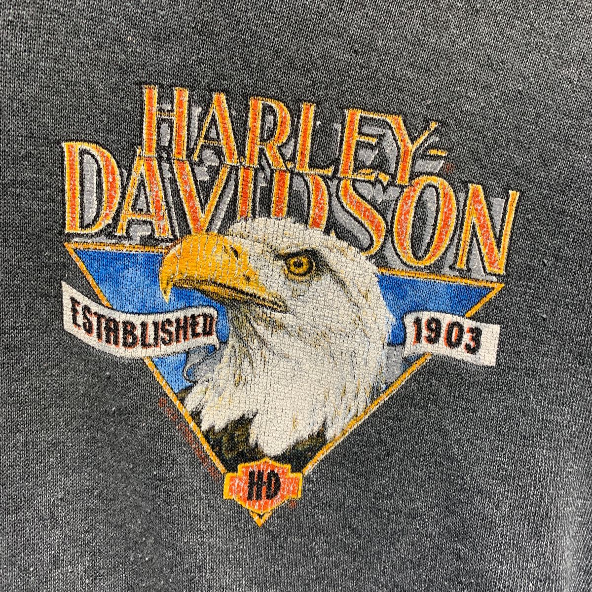 Awesome Distressed And Tattered Harley Davidson Hooded Sweatshirt ...