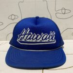 RAD 1980S VINTAGE HAWAII TRUCKER HAT