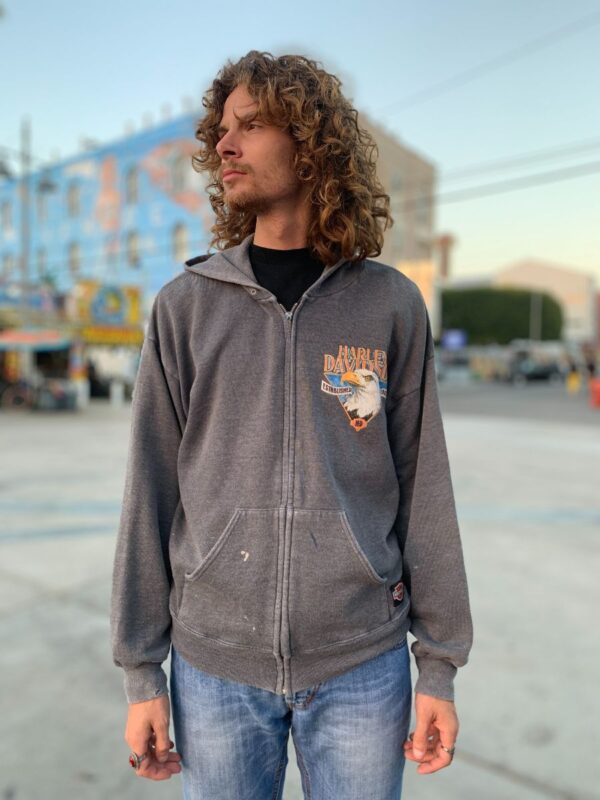 product details: AWESOME DISTRESSED AND TATTERED  HARLEY DAVIDSON HOODED SWEATSHIRT photo