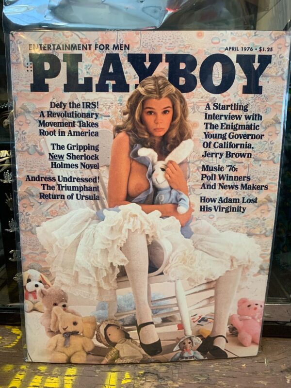 product details: PLAYBOY MAGAZINE | APRIL 1976 | DEFY THE IRS! A REVOLUTIONARY MOVEMENT TAKES ROOT IN AMERICA photo