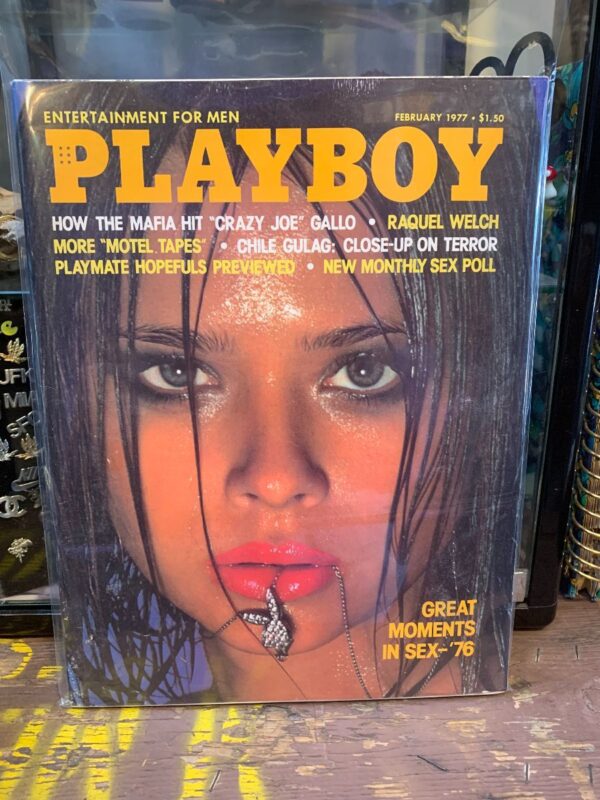 product details: PLAYBOY MAGAZINE | FEBRUARY 1977 | HOW THE MAFIA HIT CRAZY JOE GALLO photo