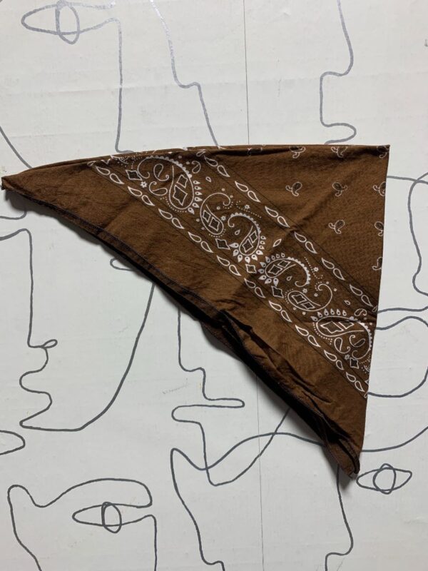 product details: CLASSIC PAISLEY BROWN BANDANA photo