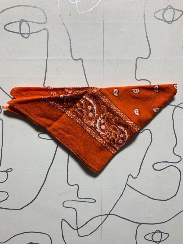 product details: CLASSIC PAISLEY ORANGE BANDANA photo