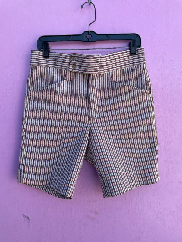 product details: COOL RETRO POLYESTER MENS STRIPED SHORTS photo