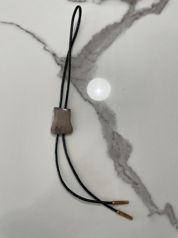 product details: POLISHED RAW STONE BOLO TIE BRAIDED LEATHER CORD, GOLD TIPS photo