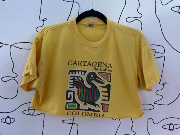 product details: CARTAGENA COLOMBIA CROPPED GRAPHIC TSHIRT photo