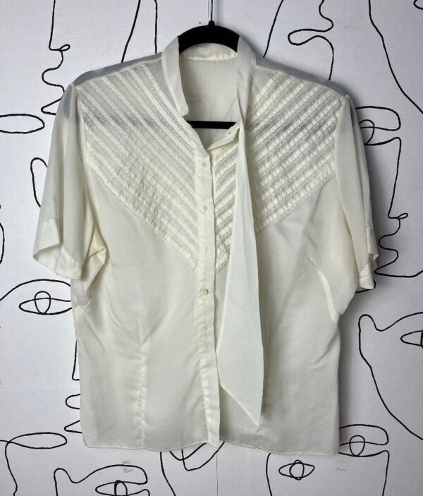product details: AS-IS 1960S BEAUTIFUL SHEER NYLON SHORT SLEEVE BUTTON UP PLEATED BLOUSE WITH LACE TRIM photo