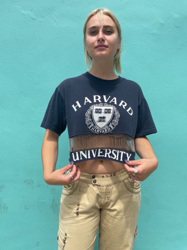 product details: CUSTOM & REPURPOSED HARVARD UNIVERSITY CHAIN MESH CROPPED TOP photo