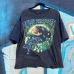 *AS-IS* 1990S BLUES TRAVELER 1994 TOUR SINGLE STITCHED T-SHIRT BOXY FIT
