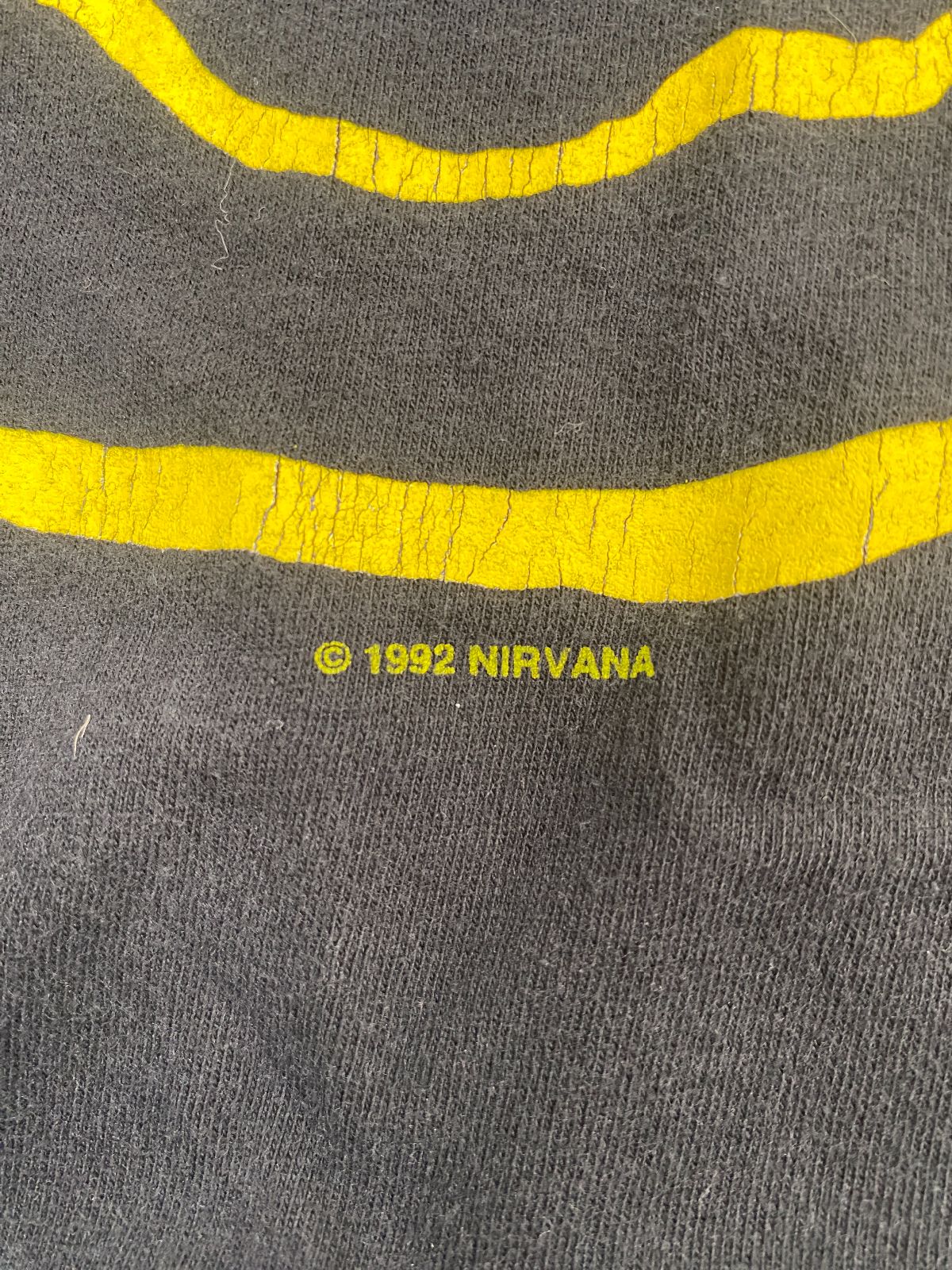 Nirvana Smile 1992 Flower Sniffin Band T-shirt | Boardwalk Vintage