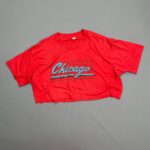 *AS IS* RAD! 1980S FADING CHICAGO GRID GRAPHIC CROPPED T SHIRT