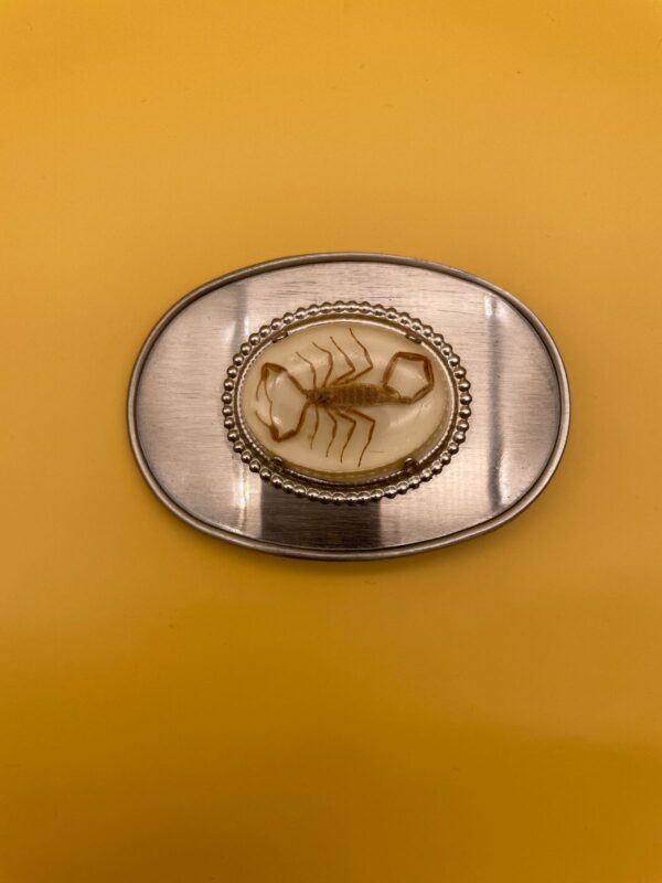 RAD! SOUTHWESTERN PRESERVED SCORPION OVAL BELT BUCKLE