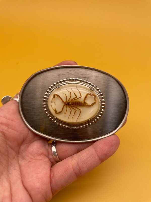 RAD! SOUTHWESTERN PRESERVED SCORPION OVAL BELT BUCKLE