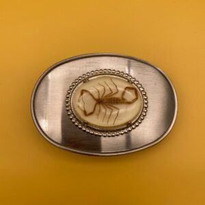 Photo detail:RAD! SOUTHWESTERN PRESERVED SCORPION OVAL BELT BUCKLE