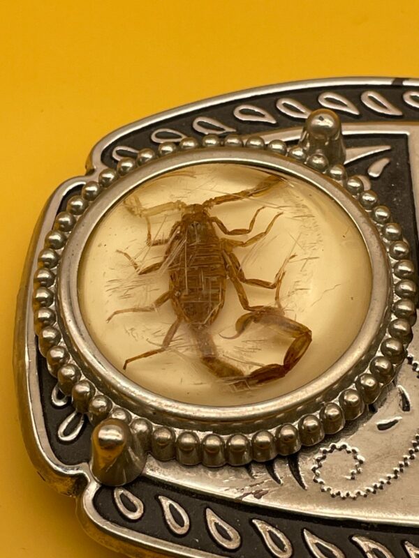 AMAZING!!! RARE!! SCORPION & BLACK WIDOW DOUBLE RESIN BUCKLE