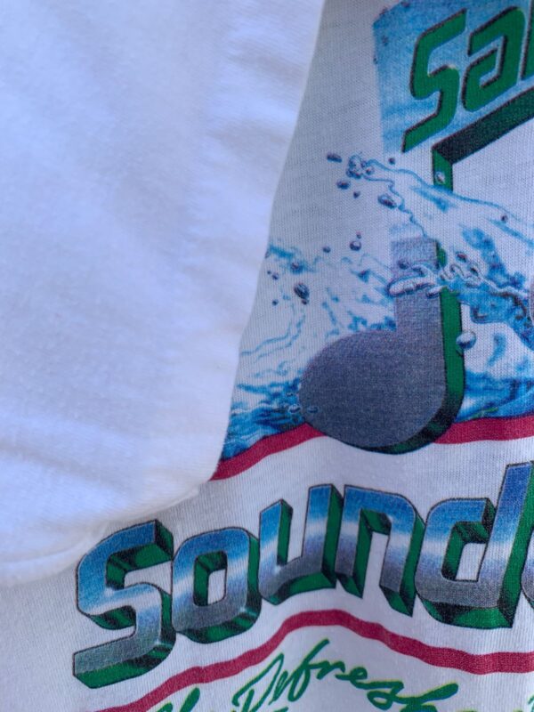 *AS IS* RAD! SALEM SOUND WAVES THE REFRESHEST NEW MUSIC RAW CROPPED GRAPHIC T SHIRT