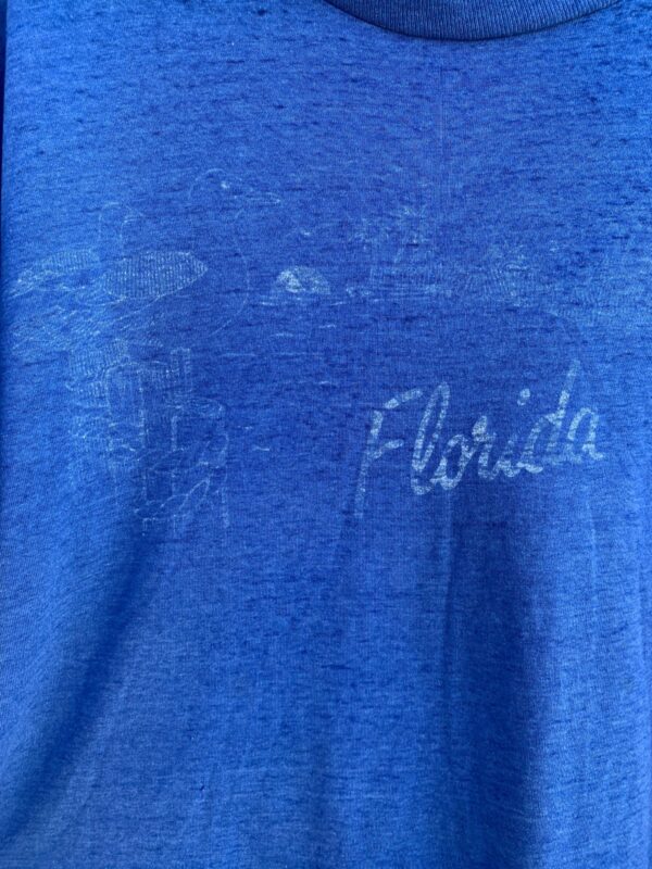 THREADBARE FLORIDA SEAGULL GRAPHIC SINGLE STITCH T-SHIRT