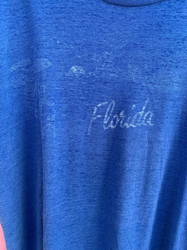 THREADBARE FLORIDA SEAGULL GRAPHIC SINGLE STITCH T-SHIRT